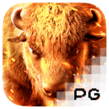 RTP pgsoft EXPLORE138 LINK LOGIN RESMI SITUS SABUNG AYAM ONLINE TERBARU
